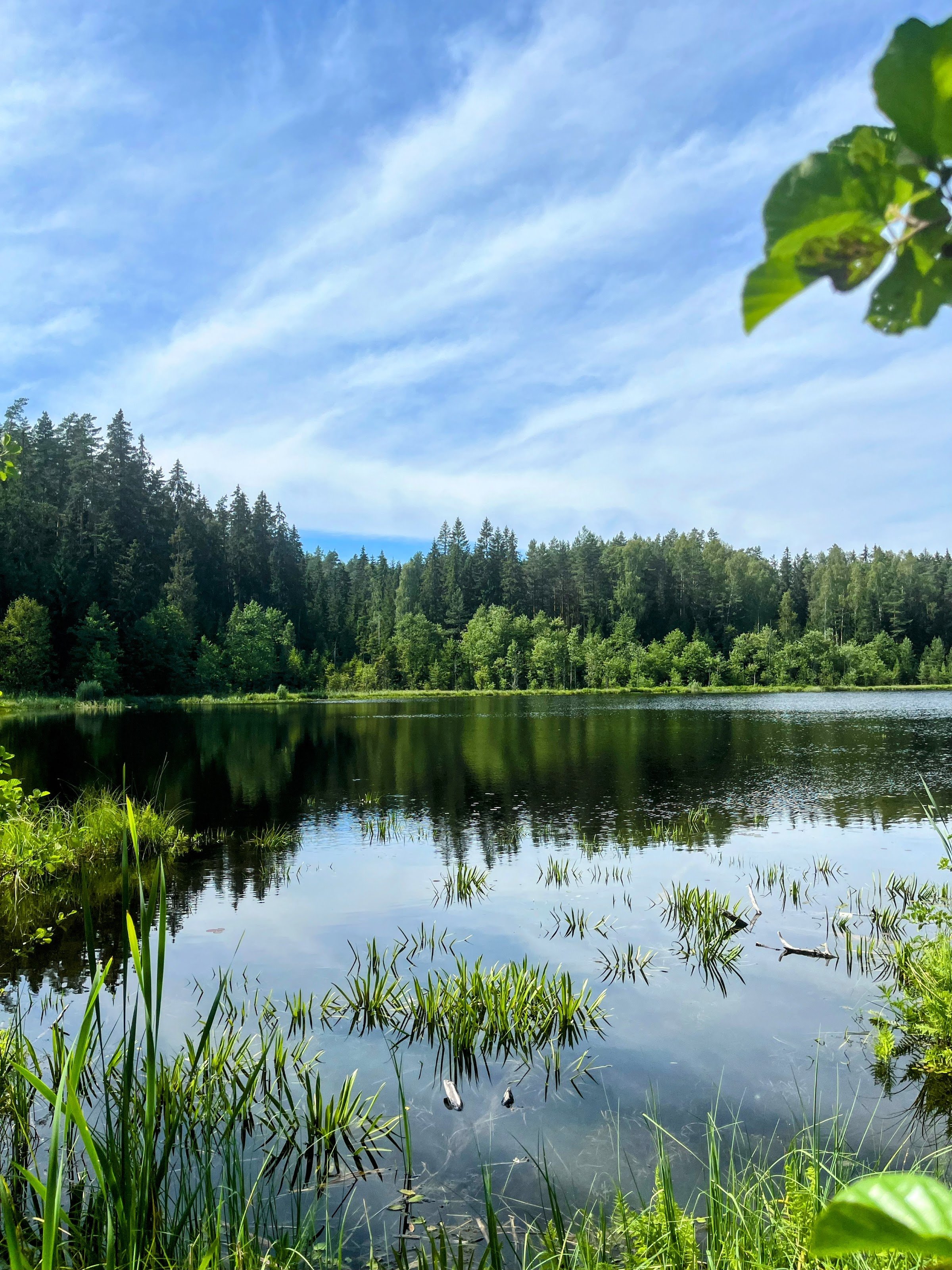 Karula National Park Camping Area